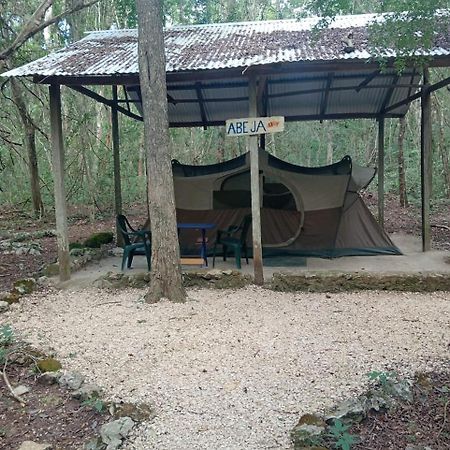 Campamento Yaax Che En Calakmul Conhuas Extérieur photo