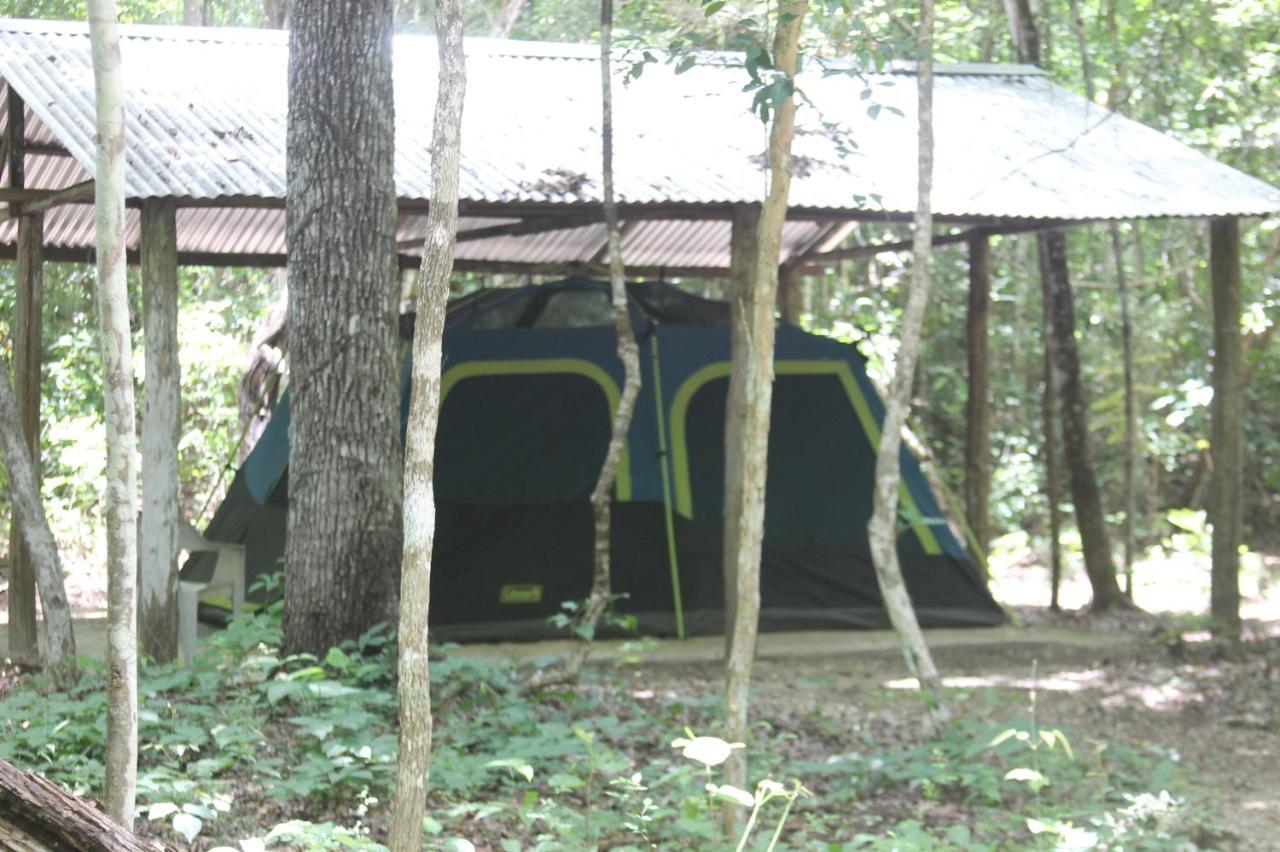Campamento Yaax Che En Calakmul Conhuas Extérieur photo