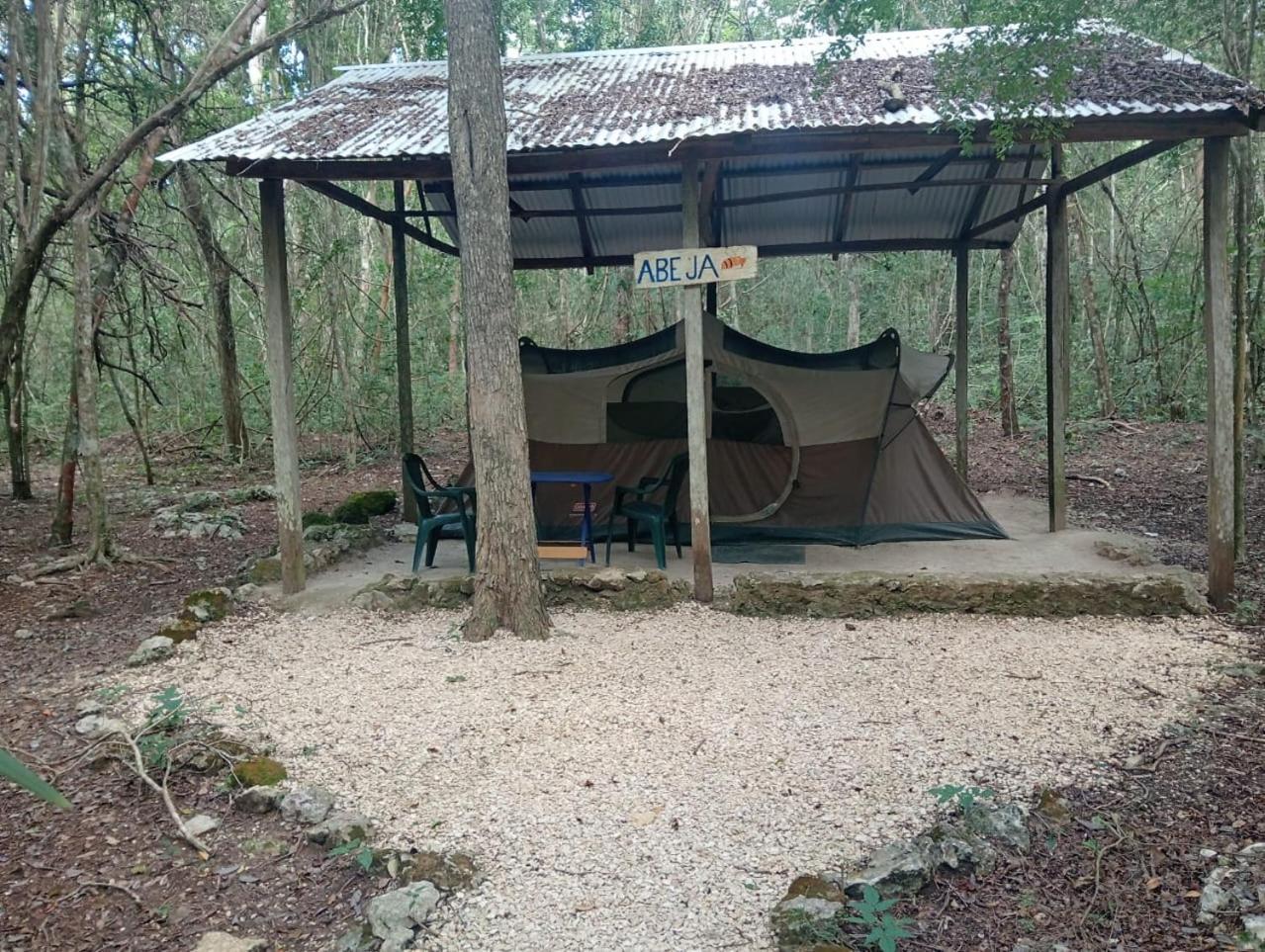 Campamento Yaax Che En Calakmul Conhuas Extérieur photo