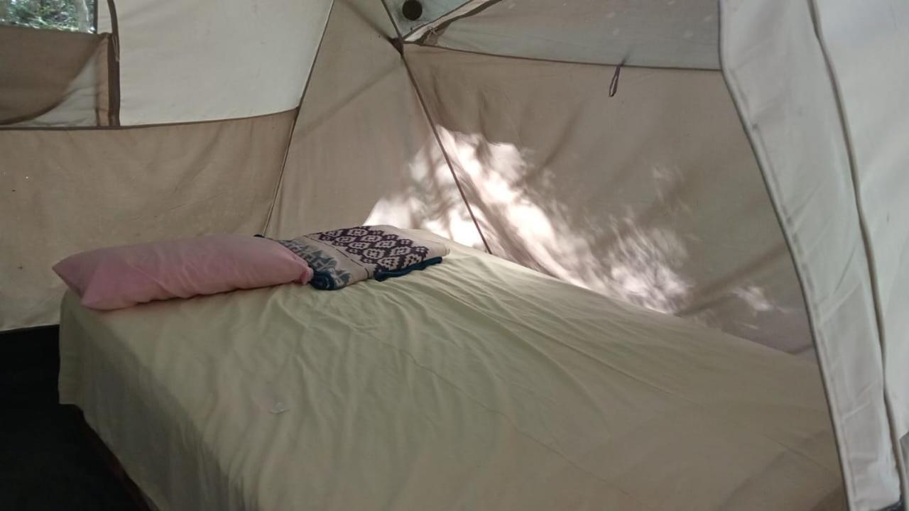 Campamento Yaax Che En Calakmul Conhuas Chambre photo