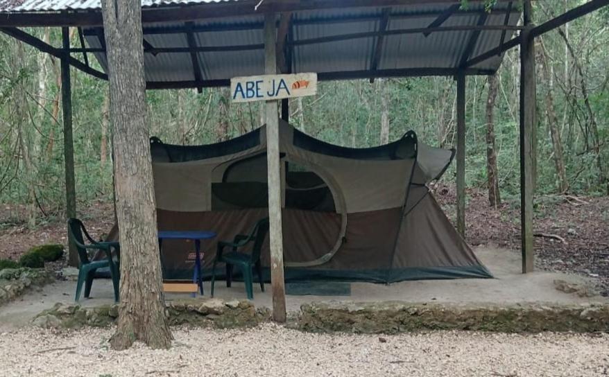 Campamento Yaax Che En Calakmul Conhuas Extérieur photo