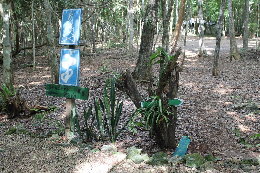Campamento Yaax Che En Calakmul Conhuas Extérieur photo