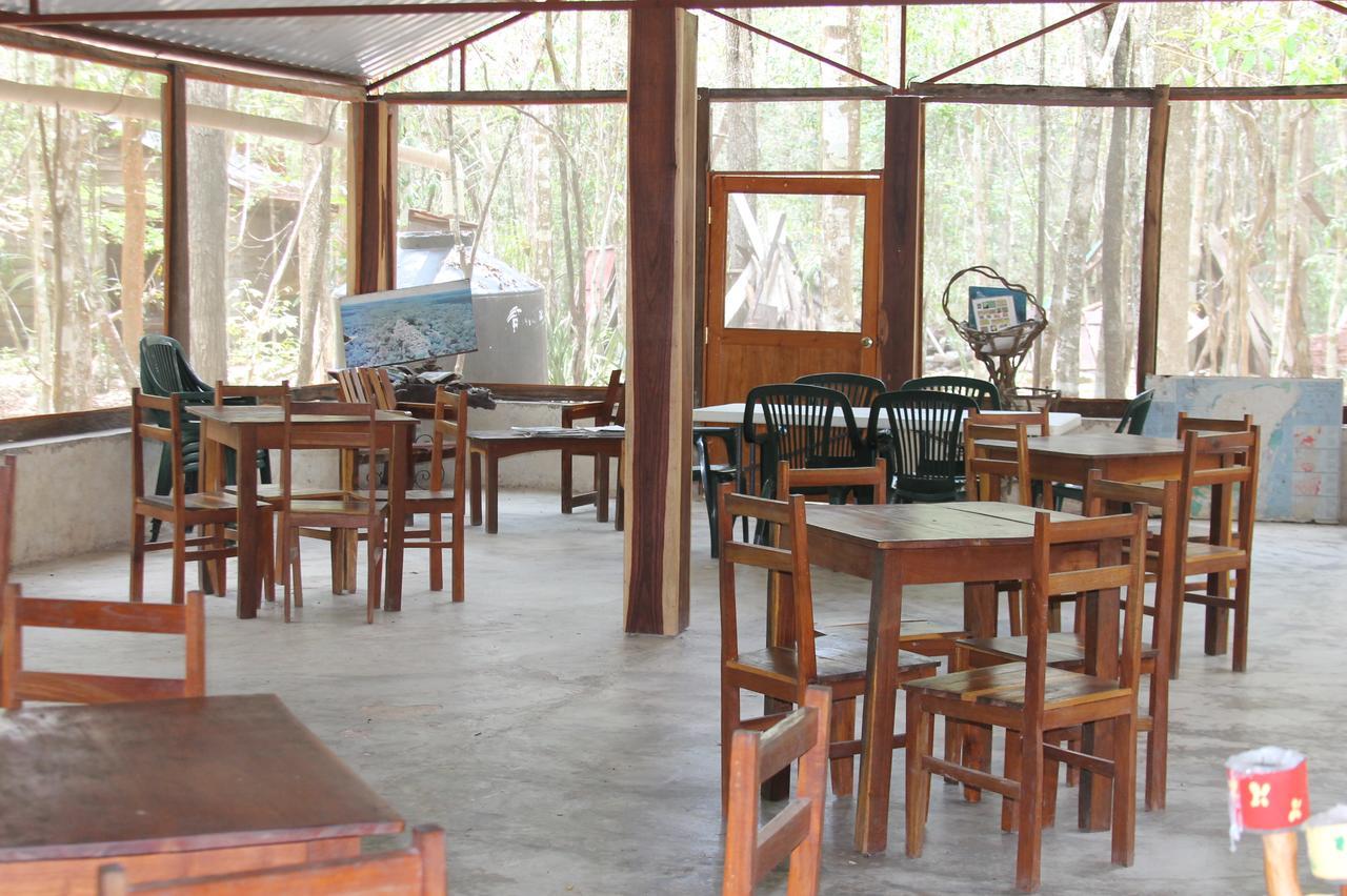 Campamento Yaax Che En Calakmul Conhuas Extérieur photo