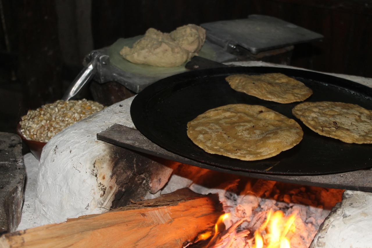 Campamento Yaax Che En Calakmul Conhuas Extérieur photo